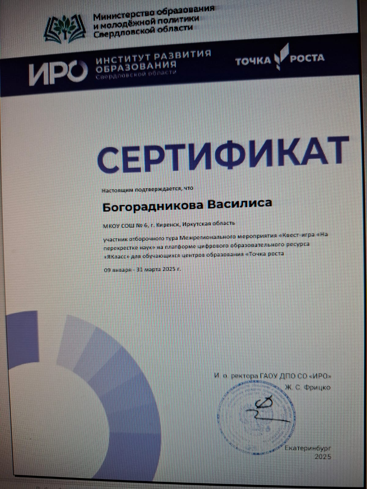 Сертификат Богорадникова Василиса.